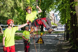 arboristit kiipeämässä